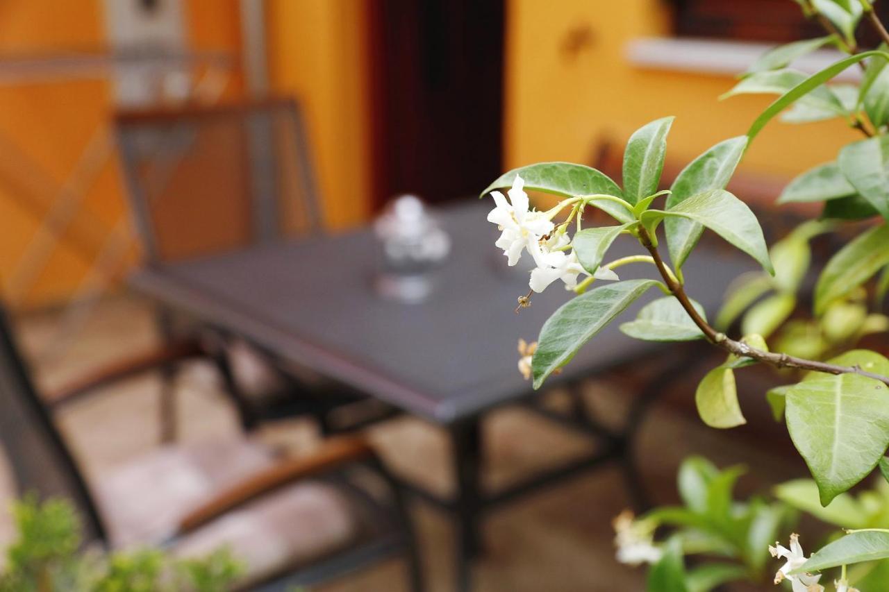 Apartmani Strpic Biograd Na Moru Dış mekan fotoğraf