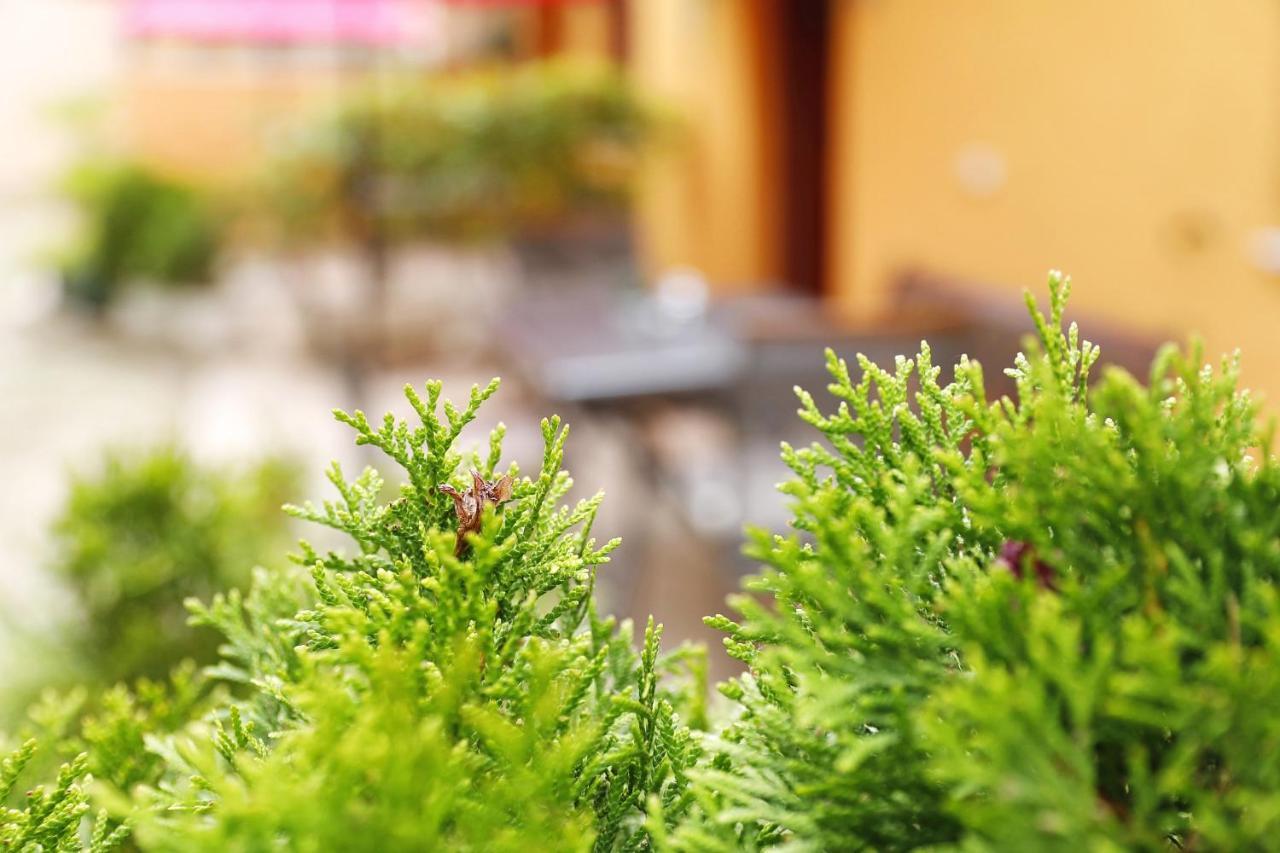 Apartmani Strpic Biograd Na Moru Dış mekan fotoğraf