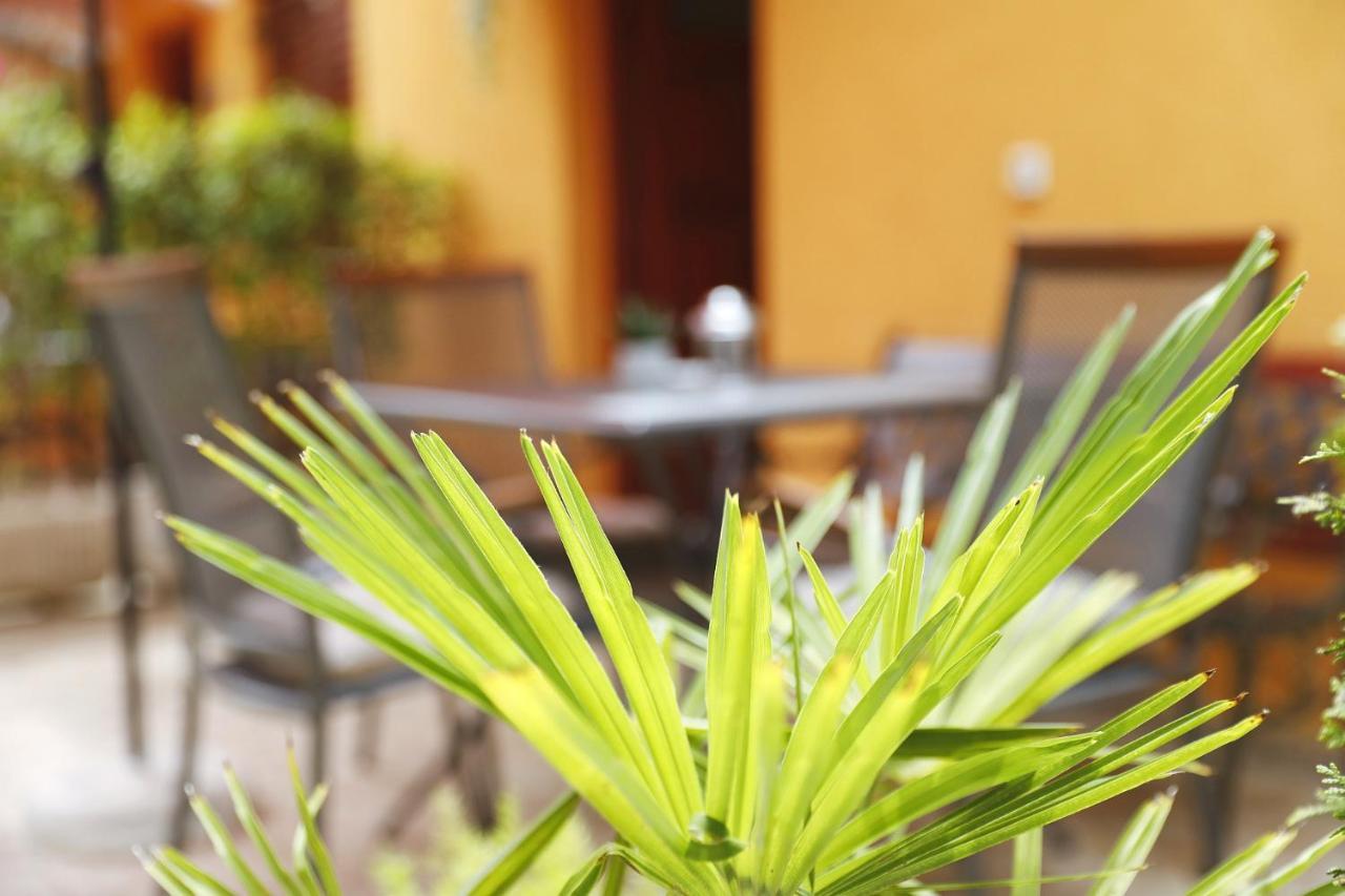 Apartmani Strpic Biograd Na Moru Dış mekan fotoğraf